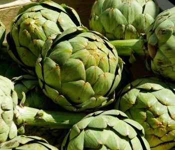 Artichoke