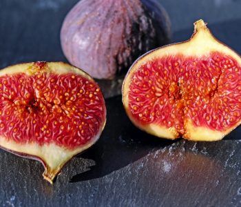 The FIG tree