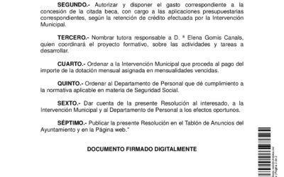 ANUNCIO CONCESIÓN DE UNA BECA DE FORMACIÓN EN ORIENTACIÓN LABORAL CON DESTINO AL DEPARTAMENTO DE DESARROLLO LOCAL DEL AYUNTAMIENTO DE DOLORES