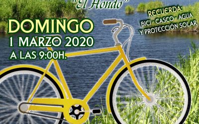 Ruta guiada en bicicleta por el Parque Natural el Hondo