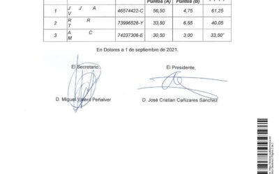 ACTA DE CORRECIÓN ERRORES Nº 3 – SOBRE VALORACION DE MÉRITOS DE LA FASE DE CONCURSO Y CALIFICACIONES PROVISIONALES DEL PROCESO SELECTIVO PARA PROVEER EN PROPIEDAD UNA PLAZA DE TÉCNICO GRADO MEDIO, ADSCRITA AL ÁREA DE PERSONAL