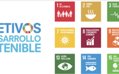 FORMULARIO DIAGNOSIS AGENDA 2030 Y AGENDA URBANA. AYUNTAMIENTO DE DOLORES