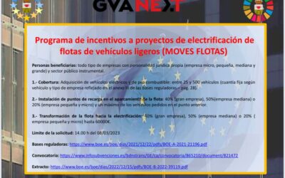 Programa de incentivos a proyectos de electrificación de flotas de vehículos ligeros (MOVES FLOTAS)