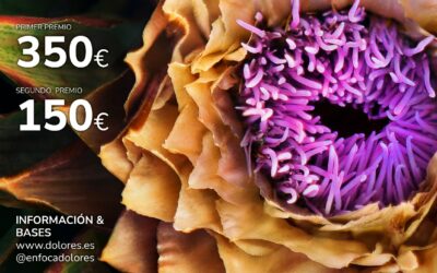 BASES I CONCURSO FOTOGRÁFICO ALCACHOFA DE DOLORES