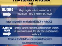 Convocatoria de ayudas a PYMES, Autónomos y profesionales de Dolores