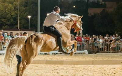 Dolores promocionará en Fitur FEGADO, la alcachofa de Dolores, el turismo ornitológico y su gran gastronomía