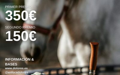 BASES II CONCURSO FOTOGRÁFICO DE LA ALCACHOFA DE DOLORES