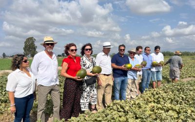 Primer corte de melón de Dolores