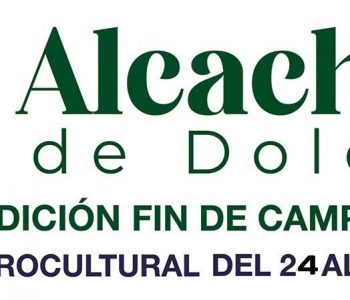 VII EDICIÓN FIESTA FIN DE CAMPAÑA ALCACHOFA DE DOLORES