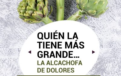 CONCURSO QUIÉN LA TIENE MÁS GRANDE…LA ALCACHOFA DE DOLORES