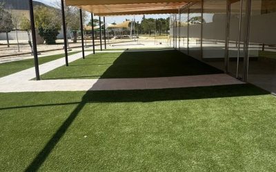 El Ayuntamiento de Dolores ha sacado la licitación para la gestión del Bar-Kiosco del Parque Municipal “La Alameda”